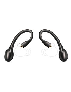 SHURE RMCE-TW2