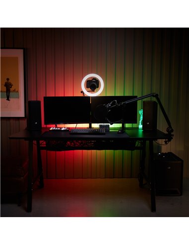 LD Systems DAVE 10 G4X