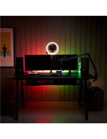 LD Systems DAVE 10 G4X
