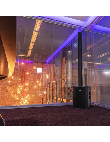 LD Systems MAUI® 44 G2 W