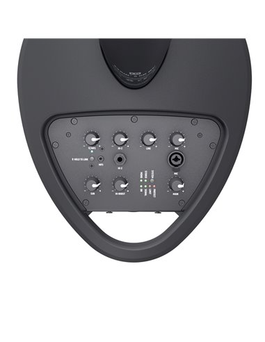 LD Systems MAUI® 5 GO 100