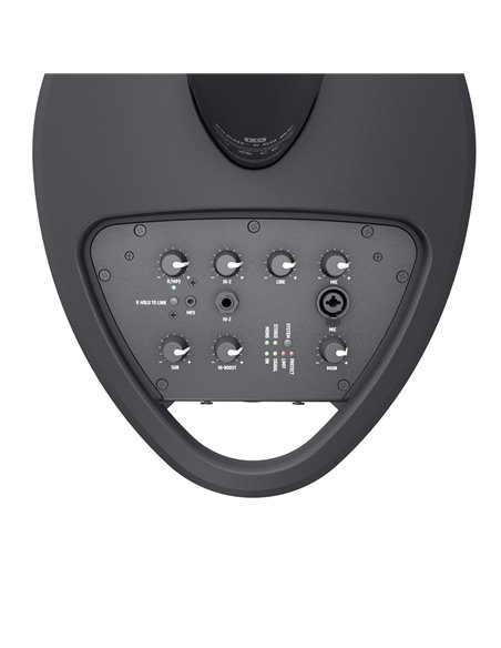 LD Systems MAUI® 5 GO 100