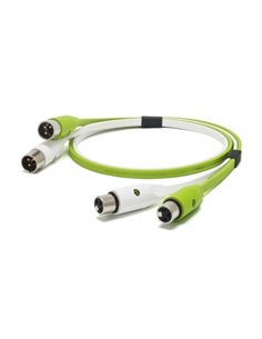 d+ XLR class B - 2m