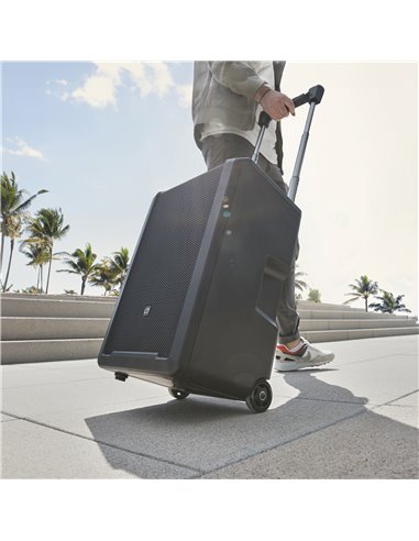 LD Systems ANNY 10 BPH B5