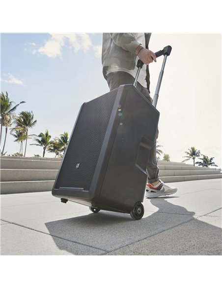 LD Systems ANNY 10 BPH B5