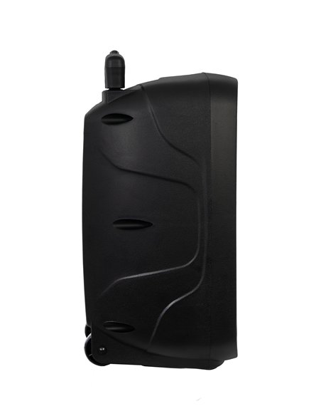 Fonestar MALIBU-308