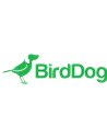 BirdDog